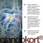 Glandokort - Image 2