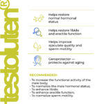 Testoluten - Image 3