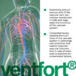 Ventfort - Image 2